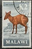 [Decimal Currency - Antelopes, type DI]