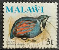 [Birds, type FO]