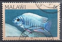 [Fish, type MH]