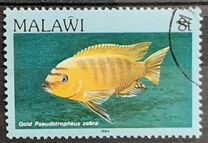 [Fish, type MJ]