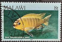 [Fish, type MJ]