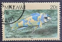 [Fish, type MM]