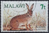 [Small Mammals, tip MU]