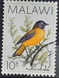 [Birds, type PY]