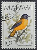 [Birds, type PY]
