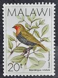 [Birds, type QA]