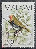 [Birds, type QA]