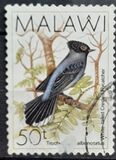 [Birds, type QD]