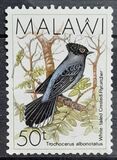 [Birds, type QD]