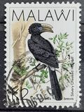[Birds, type QG]