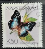 [Butterflies, type XXL]