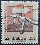 [Edible Mushrooms, type IM]