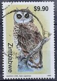 [Owls, type OX]