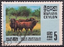 [Wildlife, 類型 GB]