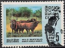 [Wildlife, 類型 GB]