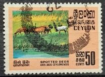 [Wildlife, 類型 GD]