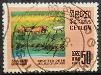 [Wildlife, 類型 GD]