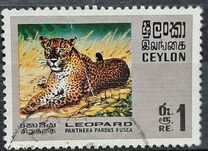 [Wildlife, 類型 GE]