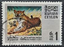 [Wildlife, 類型 GE]