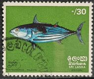 [Fish, Typ F]