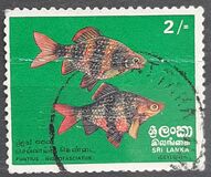 [Fish, Typ G]