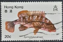 [Fish, 类型 GN]
