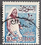 [Local Motives, Tip BG]