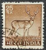 [Spotted Deer, type PE]