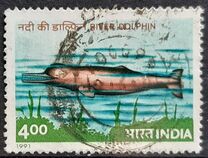 [Endangered Marine Mammals, տեսակ APU]