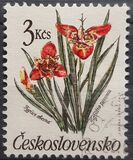 [Flowers, type CQP]