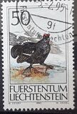 [Birds - Hunting, Typ AIQ]