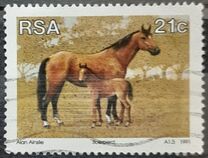 [Animal Breeding in South Africa, Tip AAP]