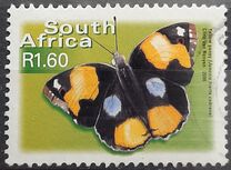 [Butterflies, type AVB]