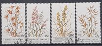 [Indigenous Grasses, tegund CB]