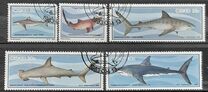 [Sharks, тип AL]