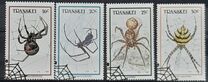 [Spiders, Tip GY]