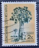 [Local Motives, 类型 CB]