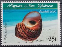 [Sea Shells, tip AEC]