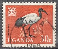 [Birds, type AC]
