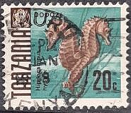 [Marine Life - Fish, tyyppi T]