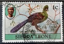 [Birds, tegund EZ]