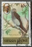 [Birds, tegund FE]