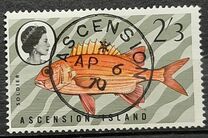 [Fish, type CA]
