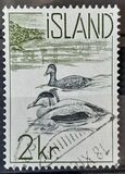 [Atlantic Salmon & Common Eider, տեսակ EU1]