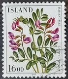 [Flowers, type OL]