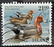 [Birds - Ducks, type RP]