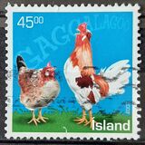 [Icelandic Chickens, Tip ADH]