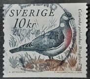 [Doves and Pigeons, type BTI]