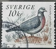 [Doves and Pigeons, type BTI]