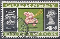 [Daily Stamps, type F]